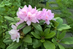 WP_20170517_20_21_28_Rich