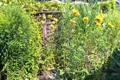 WP_20170806_16_13_57_Rich