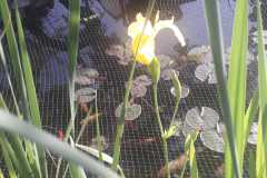 WhatsApp-Image-2022-05-15-at-21.06.19